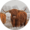 Alex Caballero Moreno Alex Caballero Moreno