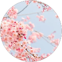 Marta Crespo Gil Marta Crespo Gil